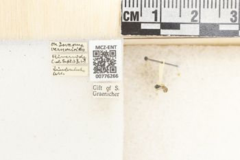 Media type: image;   Entomology 776266 Aspect: Labels